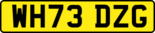 WH73DZG