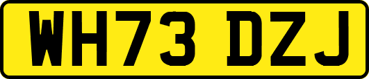 WH73DZJ