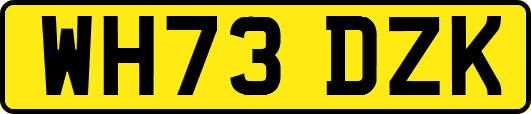 WH73DZK