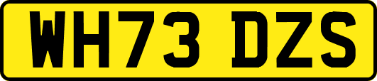 WH73DZS