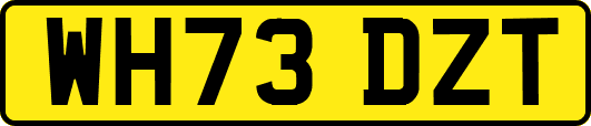 WH73DZT