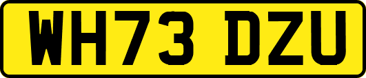 WH73DZU