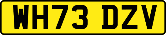 WH73DZV