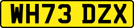 WH73DZX