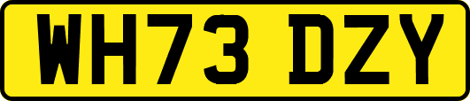 WH73DZY