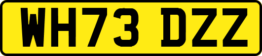 WH73DZZ