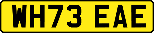 WH73EAE
