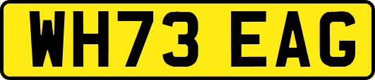 WH73EAG