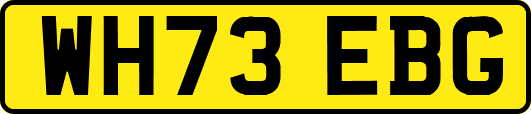 WH73EBG