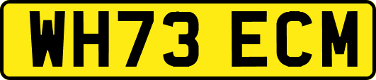 WH73ECM