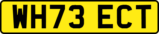 WH73ECT