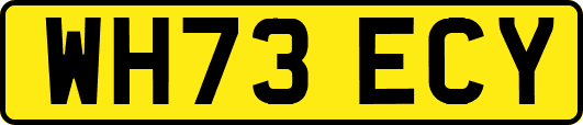 WH73ECY