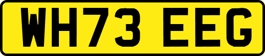WH73EEG