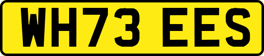 WH73EES