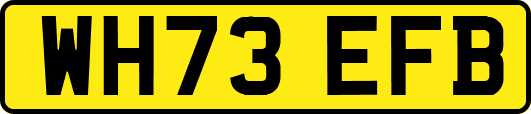 WH73EFB