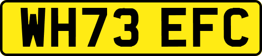 WH73EFC