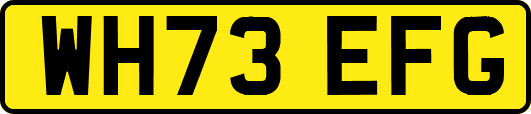 WH73EFG
