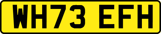 WH73EFH