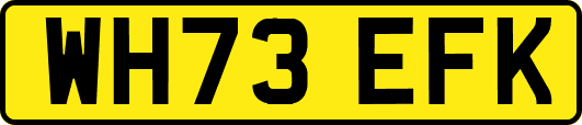 WH73EFK