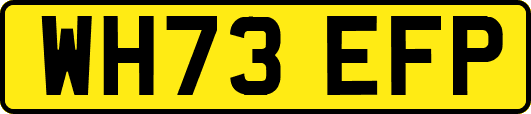 WH73EFP