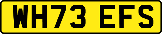 WH73EFS