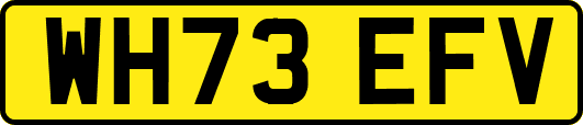 WH73EFV