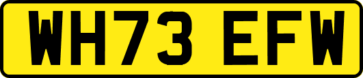 WH73EFW