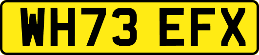 WH73EFX
