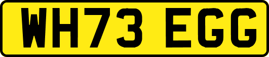 WH73EGG