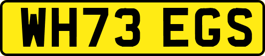 WH73EGS