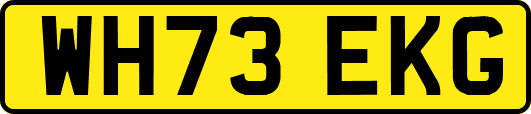 WH73EKG