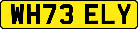 WH73ELY