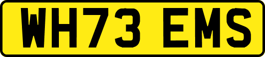 WH73EMS