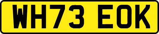 WH73EOK
