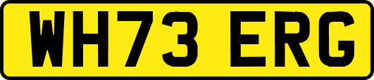 WH73ERG