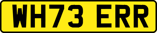 WH73ERR