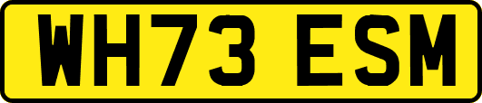 WH73ESM
