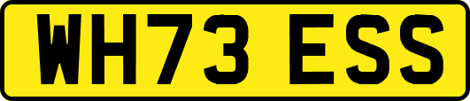WH73ESS