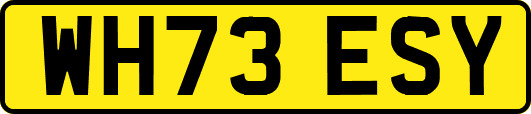 WH73ESY