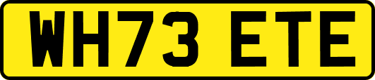 WH73ETE