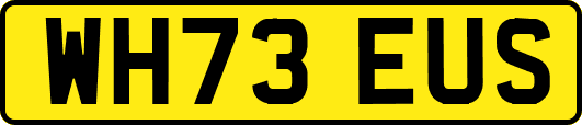 WH73EUS