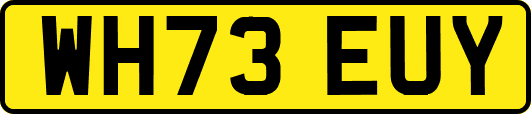 WH73EUY