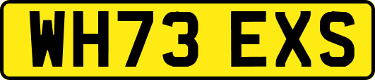 WH73EXS