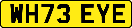 WH73EYE