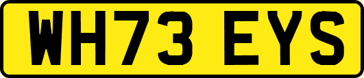 WH73EYS