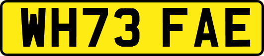 WH73FAE