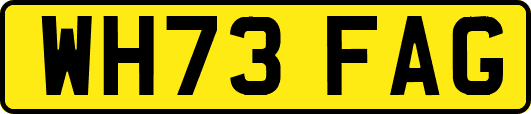 WH73FAG