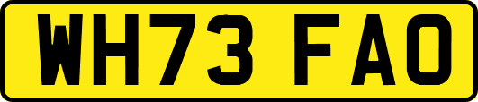 WH73FAO