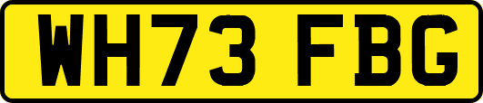 WH73FBG