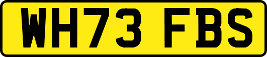 WH73FBS